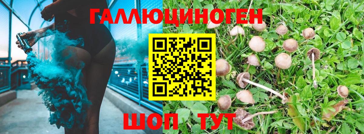 Псилоцибиновые грибы MAGIC MUSHROOMS  Вход с VPN  Ейск 