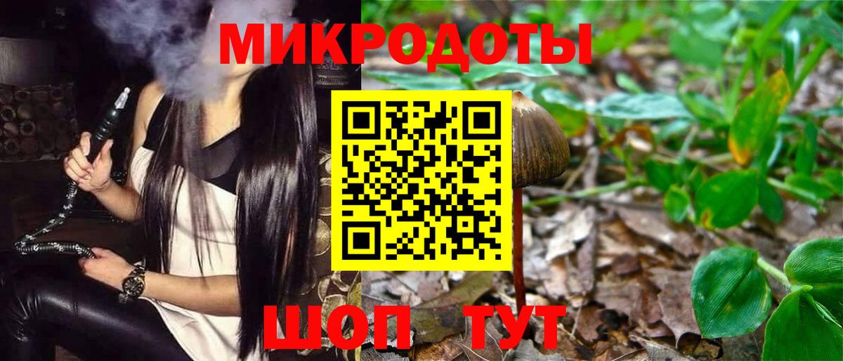 Галлюциногенные грибы Psilocybine cubensis Ейск